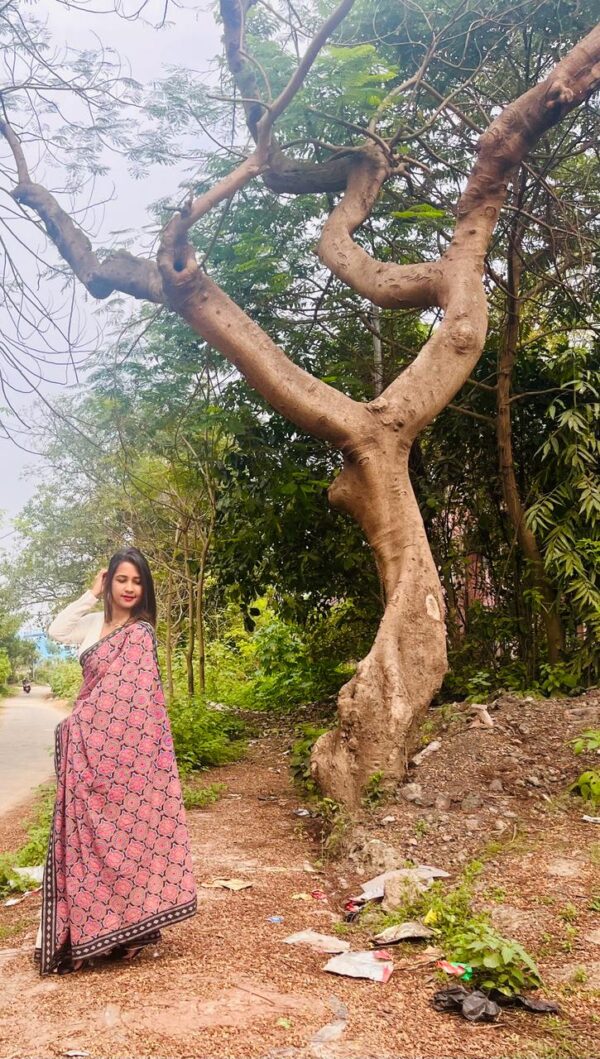 Hakoba Ajrakh Jamdani Border Saree - Image 3