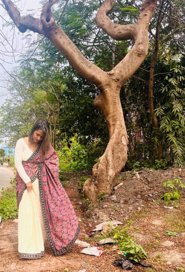 Hakoba Ajrakh Jamdani Border Saree - Image 4
