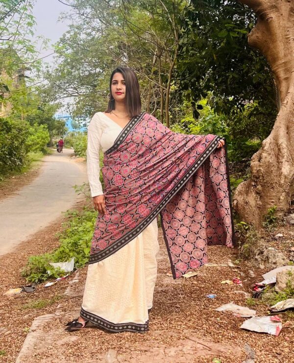 Hakoba Ajrakh Jamdani Border Saree